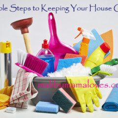 5 Simple Steps for Keeping Your House Clean