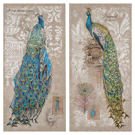 peacock canvas joss and main