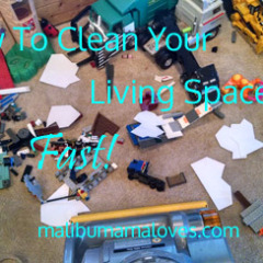 How to Clean Your Living Areas Fast