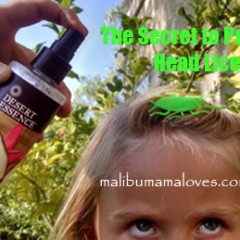 The Secret to Prevent Head Lice