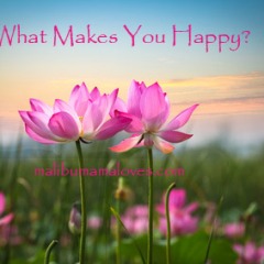 What Makes You Happy?