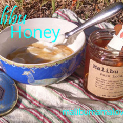 Malibu Honey
