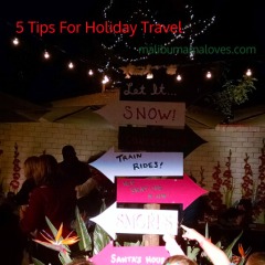 5 Tips for Holiday Travel