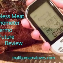 Wireless Meat Thermometer by Thermo Future