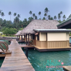 Family Travel Vlog from Koro Sun Resort, Fiji