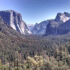 9 Reasons to Visit Yosemite National Park This Year