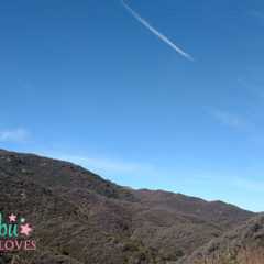 My 5 Fave Hikes For Families in Malibu