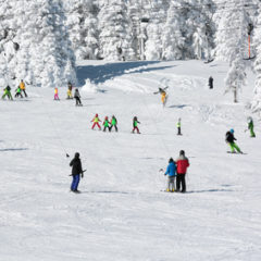 4 Tips To Finding The Perfect Family Ski Resort