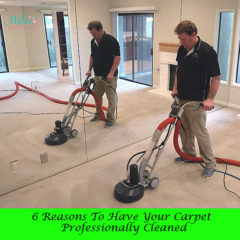 6 Reasons to Have Your Carpet Professionally Cleaned & Who to Hire