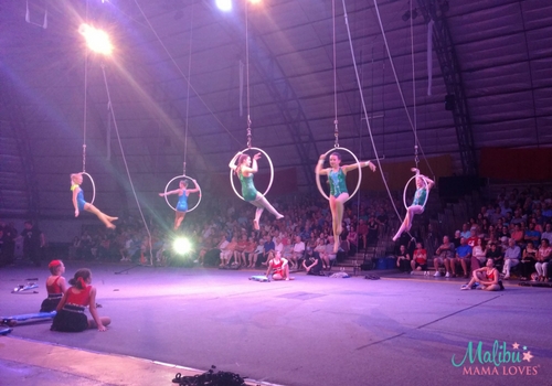 The Sailor Circus