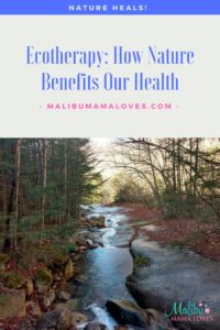 Conscious Living: Ecotherapy How Nature Benefits Our Health