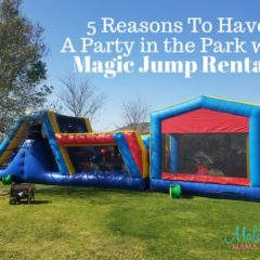 5 Reasons To Have A Party In The Park With Magic Jump Rentals