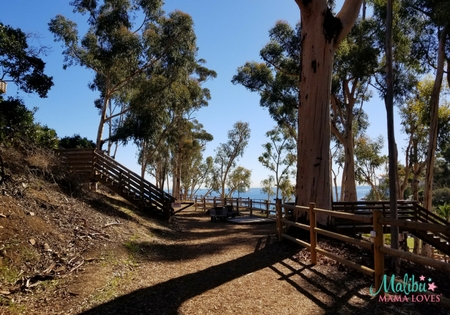 Catalina Island Aerial Adventure