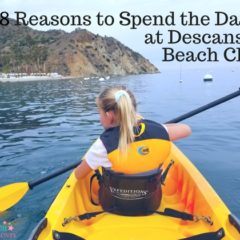 8 Reasons to Spend the Day at Descanso Beach Club on Catalina Island