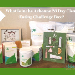What is in the Arbonne 28 Day Clean Eating Challenge Box?