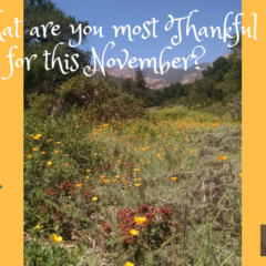 20 Reasons To Be Thankful In November 2018