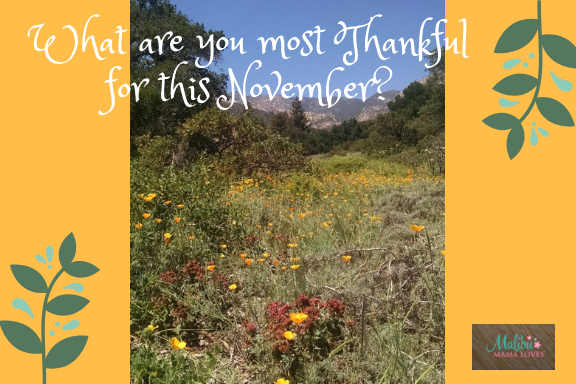 Conscious Living: 20 Reasons to be Thankful in November 2018