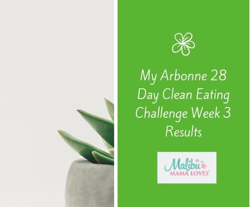 arbonne 28 day clean eating