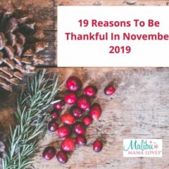 19 Reasons To Be Thankful In November 2019