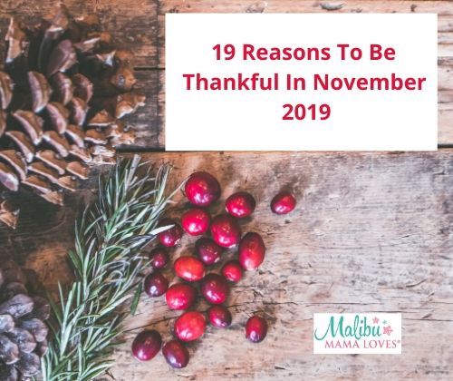19 Reasons To Be Thankful In November 2019