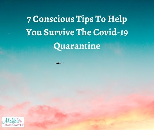 survive-the-covid-quarantine