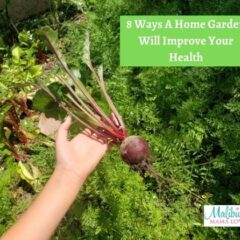 8 Ways A Home Garden Will Improve Your Health