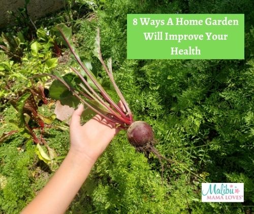a-home-garden-will-improve-your-health