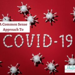 A Common Sense Approach To Covid-19