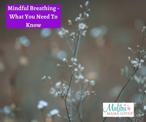 mindful-breathing