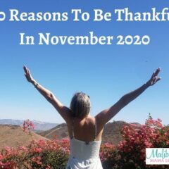 20 Reasons To Be Thankful In November 2020