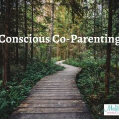 Conscious Co Parenting