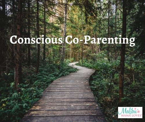 Conscious-Co-Parenting