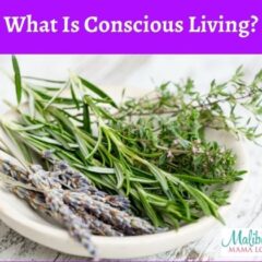 What Is Conscious Living?