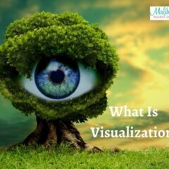 What Is Visualization?