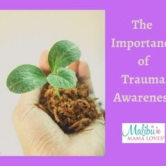 The Importance Of Trauma Awareness