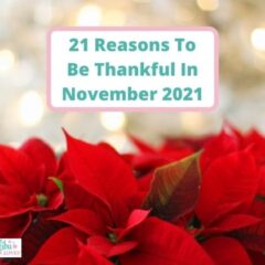 21 Reasons To Be Thankful In November 2021