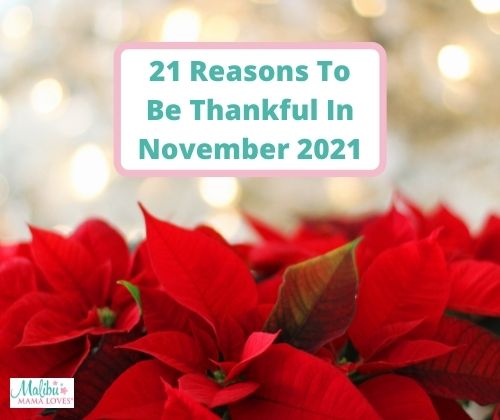 reasons-to-be-thankful-in-november-2021