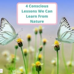 4 Conscious Lessons We Can Learn From Nature