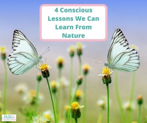 4-Conscious-Lessons-We-Can-Learn-From-Nature