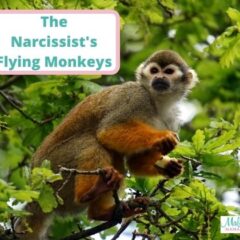 The Narcissist’s Flying Monkeys