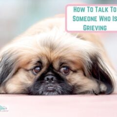  How To Talk To Someone Who Is Grieving