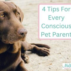4 Tips For Every Conscious Pet Parent