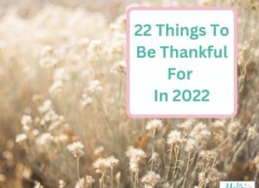 22 Reasons to Be Thankful in 2022