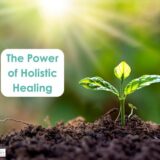  The Power Of Holistic Healing