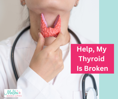 thyroid